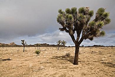 《帕斯卡契约》团队新作 动作RPG《万物契约》首爆实机演示