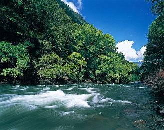 经典系列新作《千变的迷宫 风来的希炼6》新系统角色公开